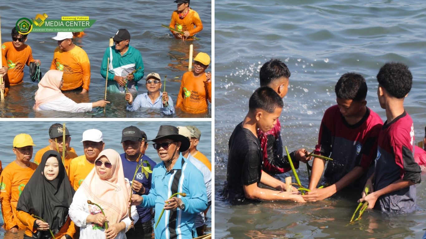 Kemenag Sulbar Libatkan 14.490 Murid Baru Madrasah dalam Penanaman Mangrove dan Aksi Bersih Lingkungan
