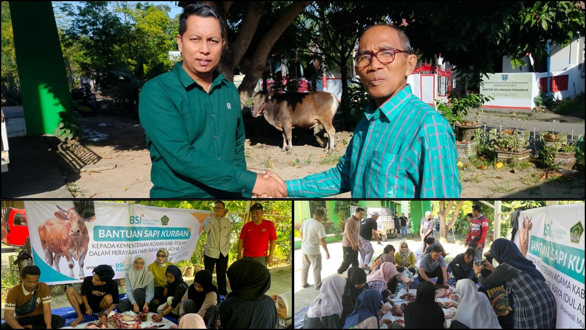 Kolaborasi Penuh Berkah, BSI Serahkan Hewan Qurban kepada Kemenag Polman